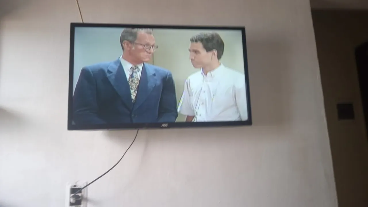 Vendo televisão 32 polegadas 400 reais microondas 100 reais forninho 70