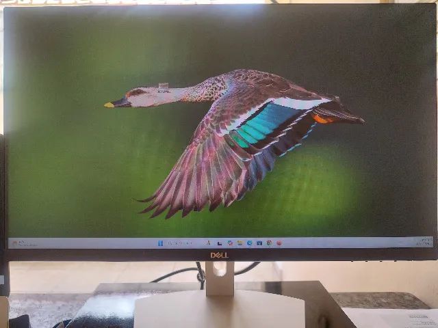 Monitor Dell 24 polegadas S2421HN - Foto 2