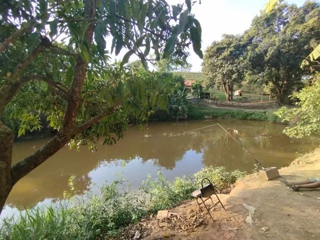 foto - Brumadinho - 