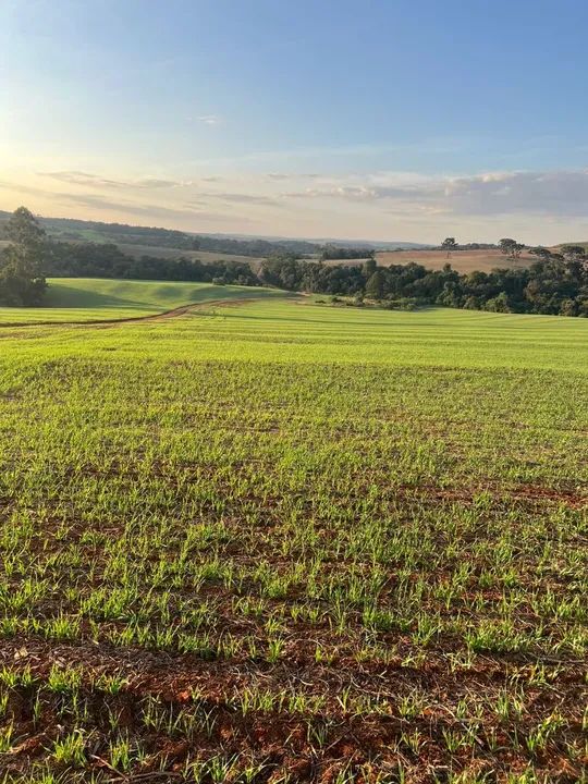 fazenda tem 54 planta 43 - Foto 2