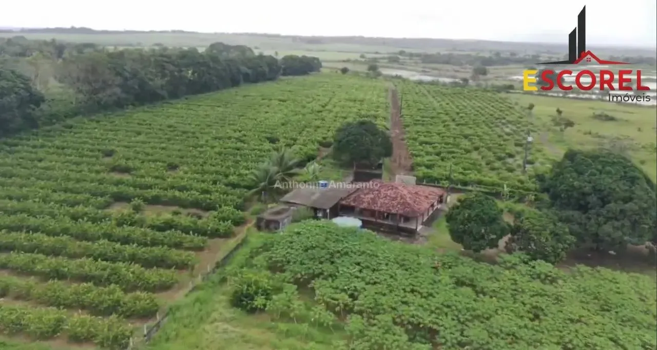 Propriedade produtiva para venda possui 4,2 hectares em Alhandra - PB