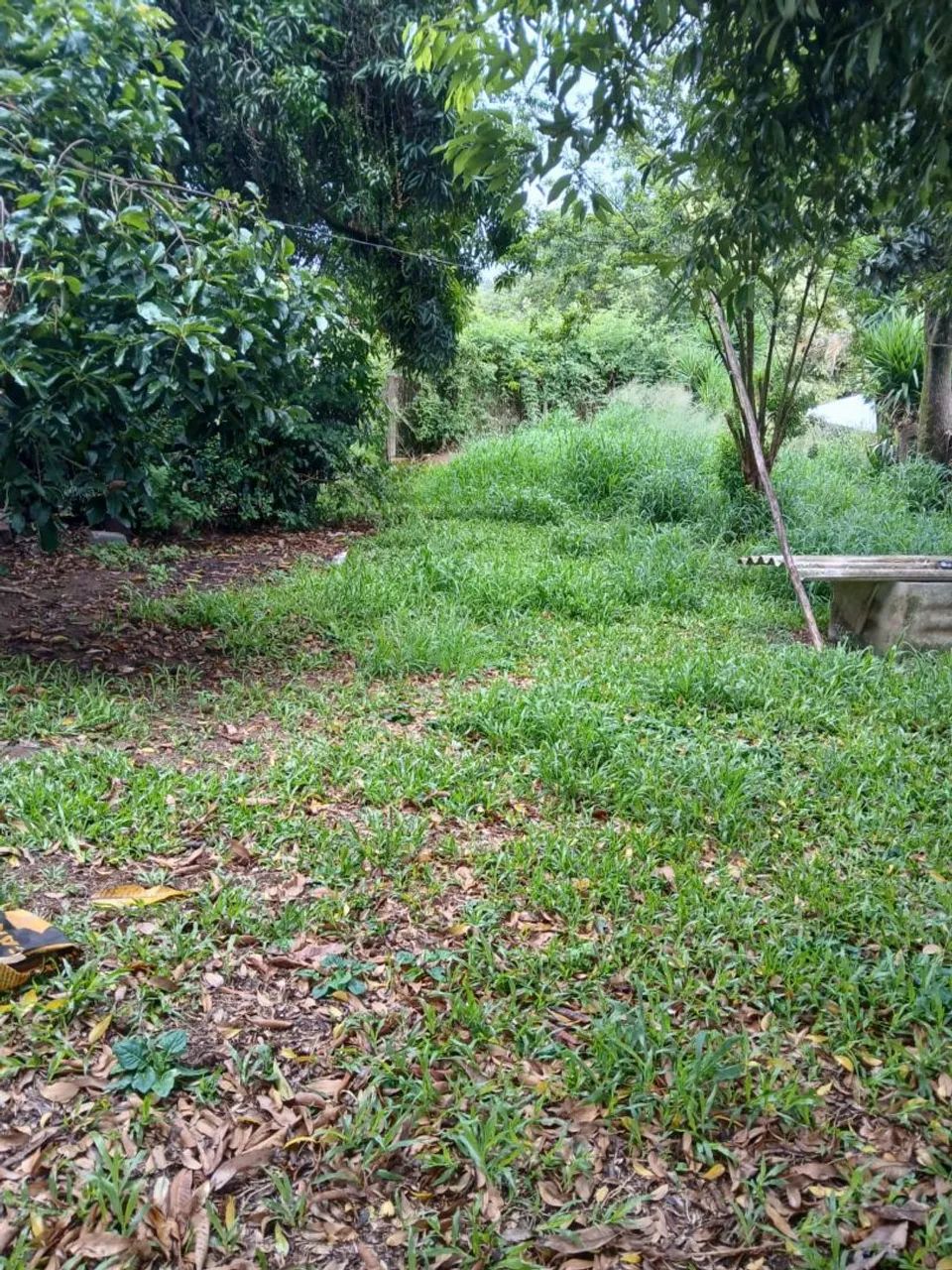 Foto - Viamão - Jari