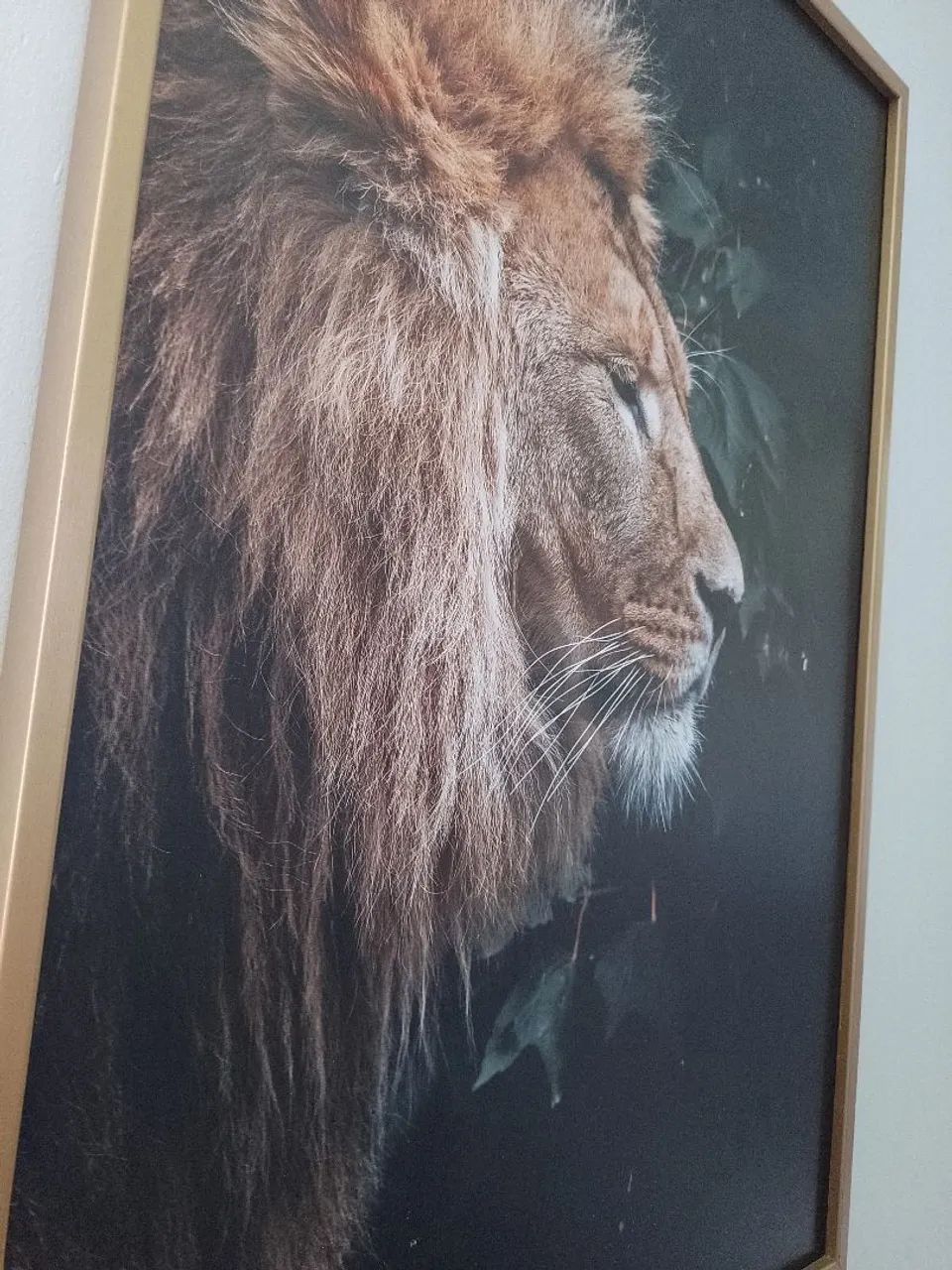 Quadro  - Foto 4