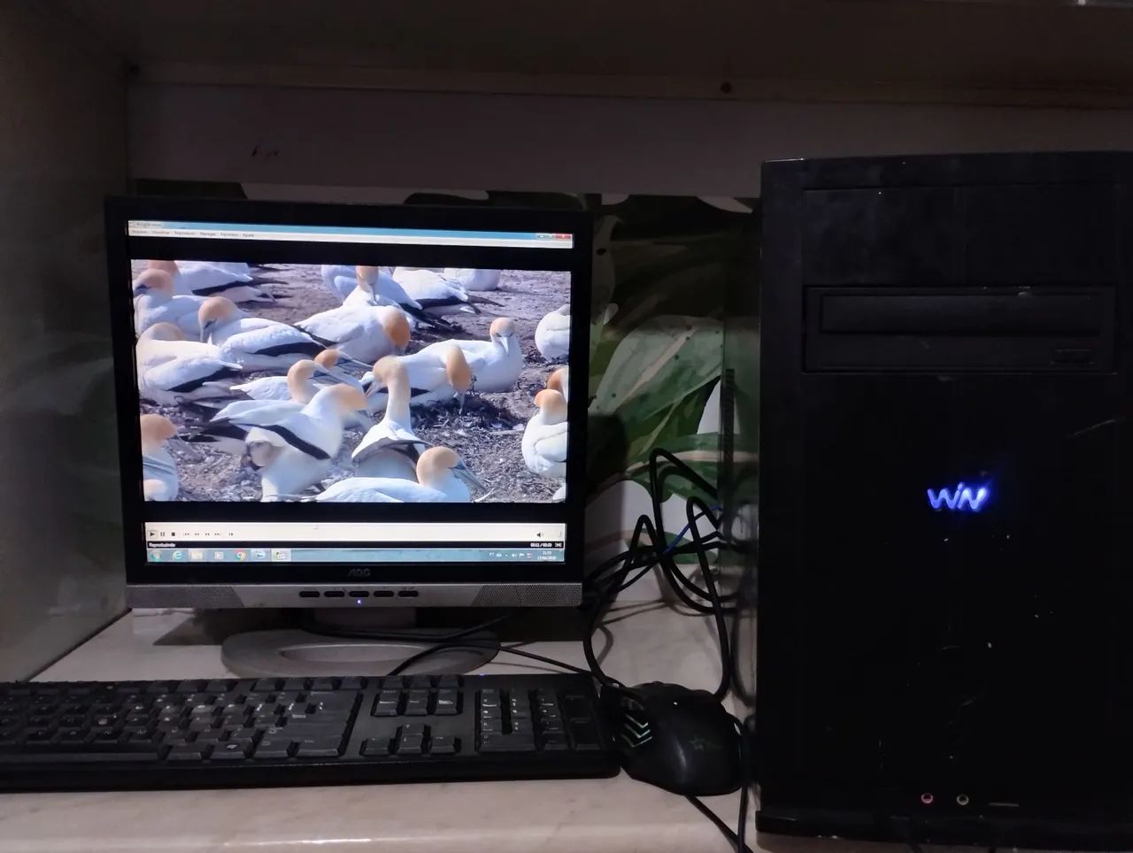 Cpu pronta para Trabalho!!!!!! - Foto 3