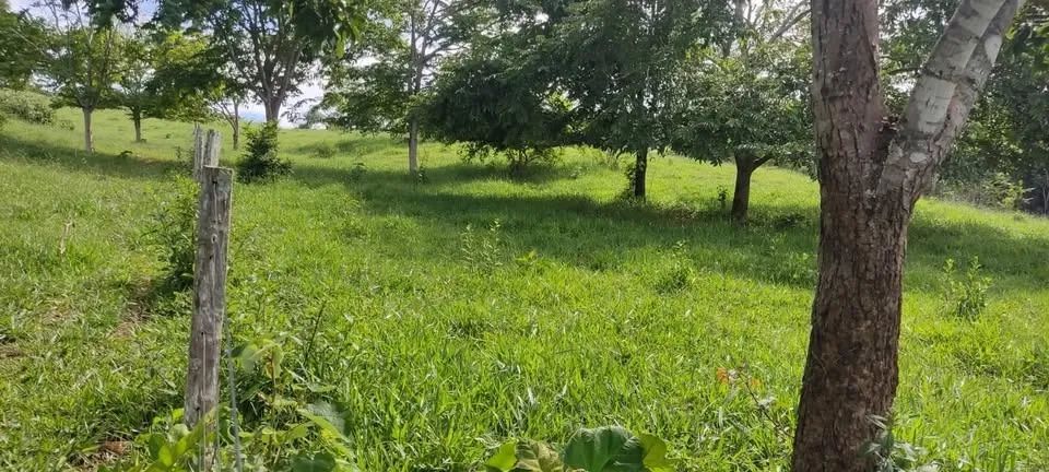 Chacaras de 10,000m² proximo a Planalmira 