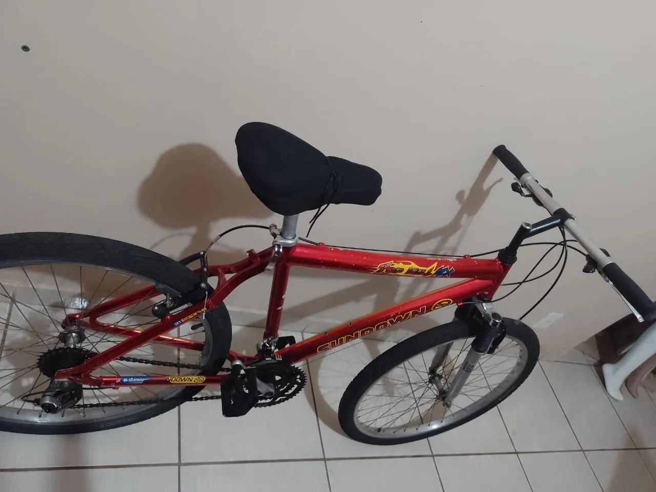 Bicleta