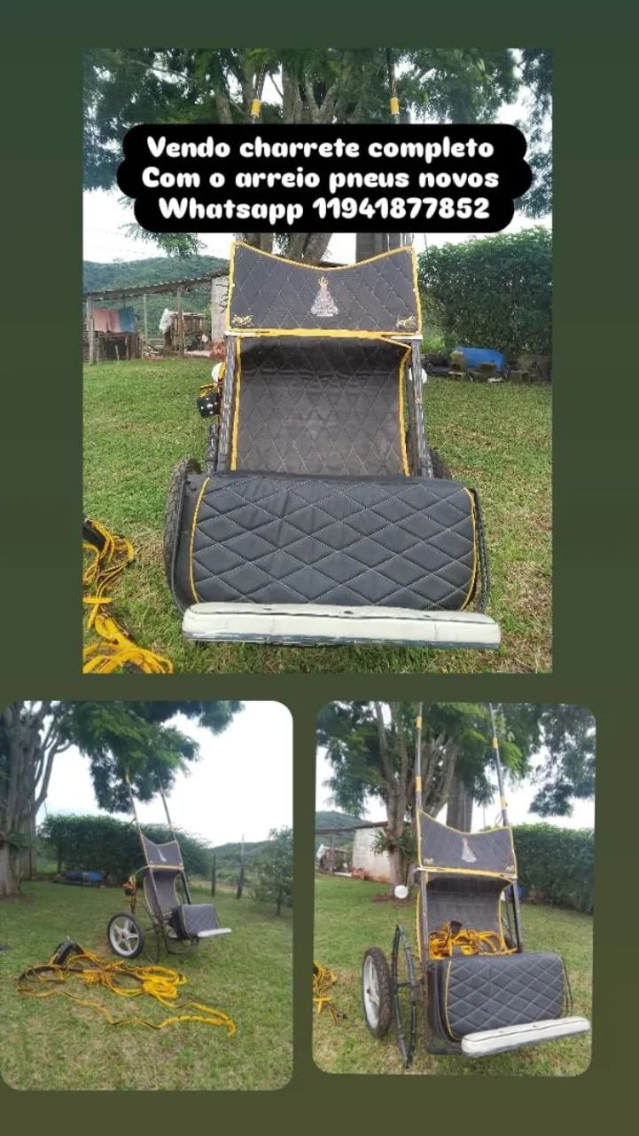Vendo charrete com a reio completa o areio tá novo a charrete também nova 
