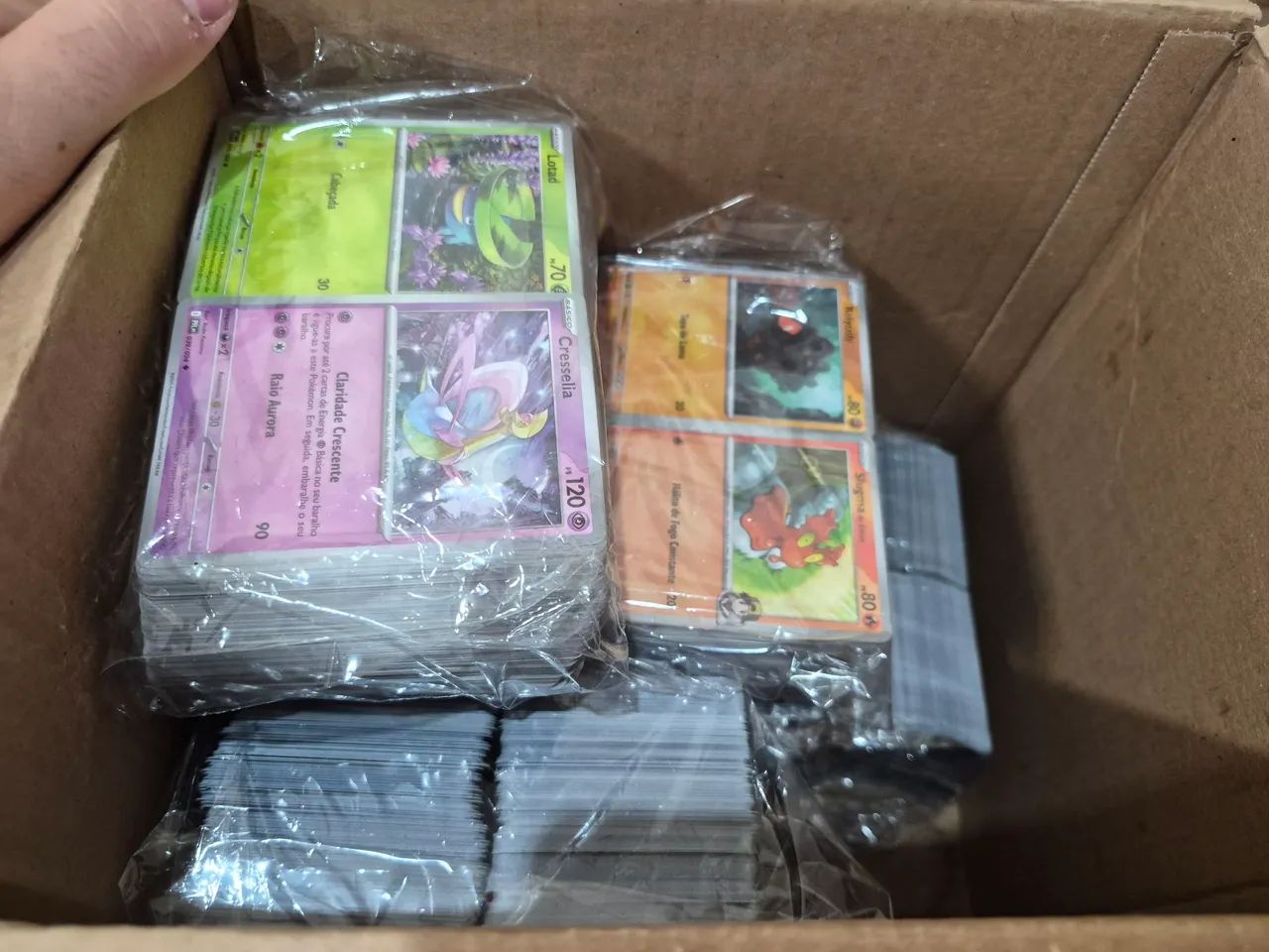 1600 cartas pokemon