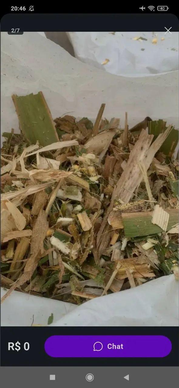 Silo de milho ? - Foto 2