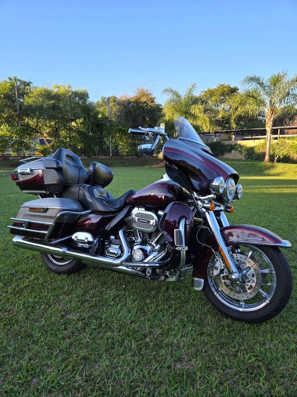 Ultra CVO 2015