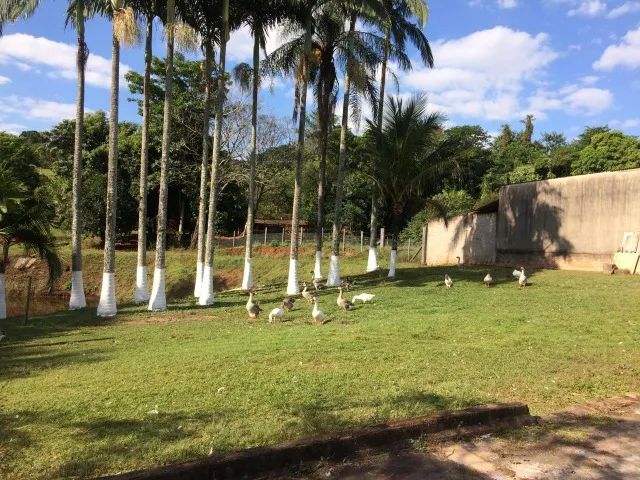 Sítio  - Mata Negra - Rio Claro - Foto 3