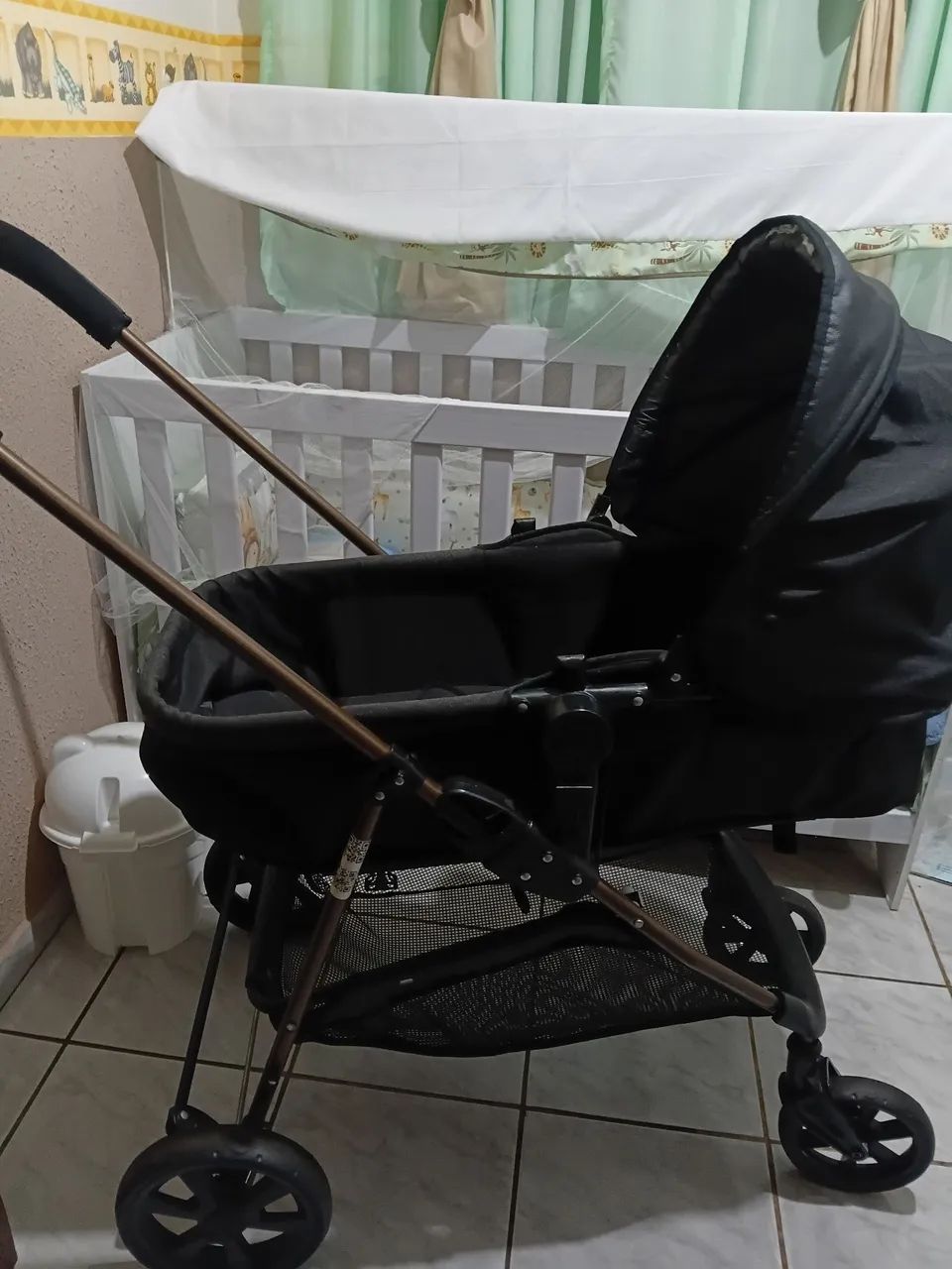 Carrinho de bebê Moisés Galzerano