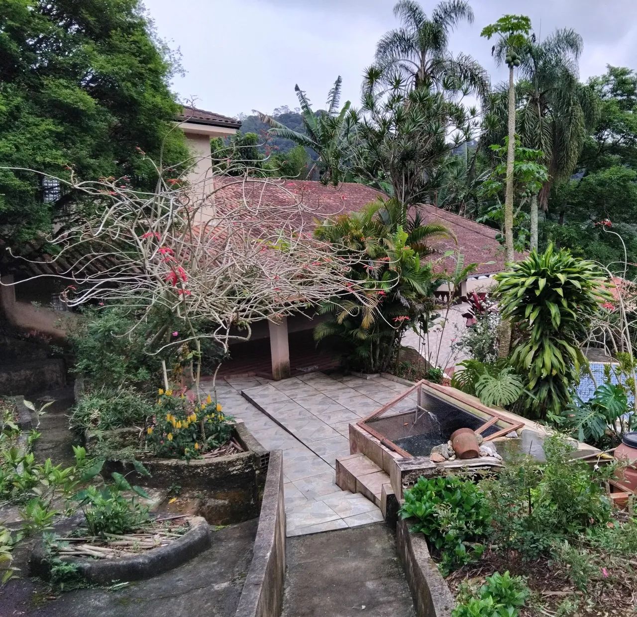 Foto - Ribeirão Pires - Pilar Velho