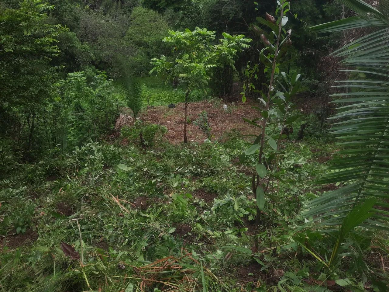 10×25 - Foto 5
