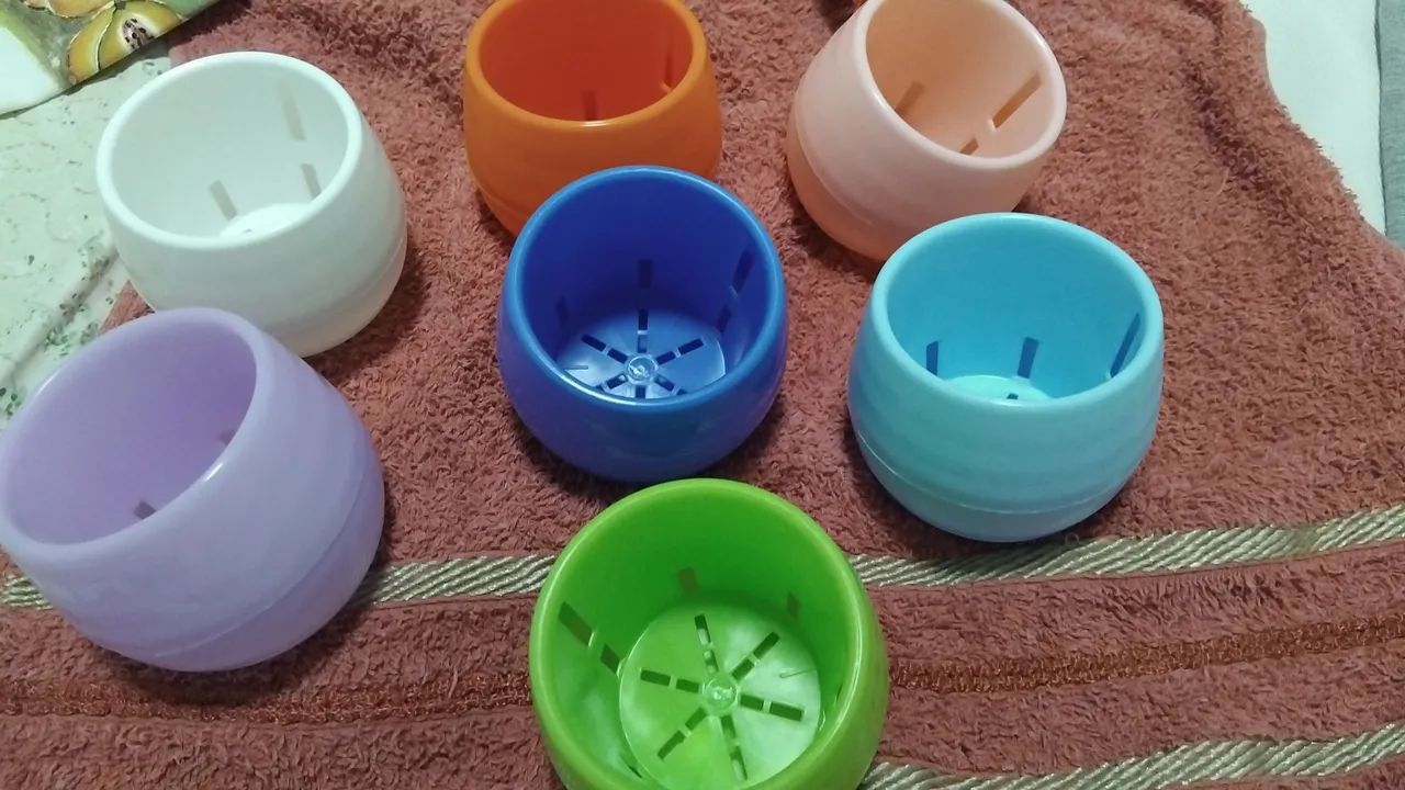 Bambu da sorte  - Foto 2