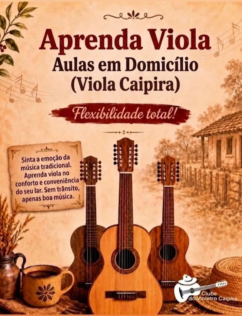 Aulas de viola Caipira em domicílio 