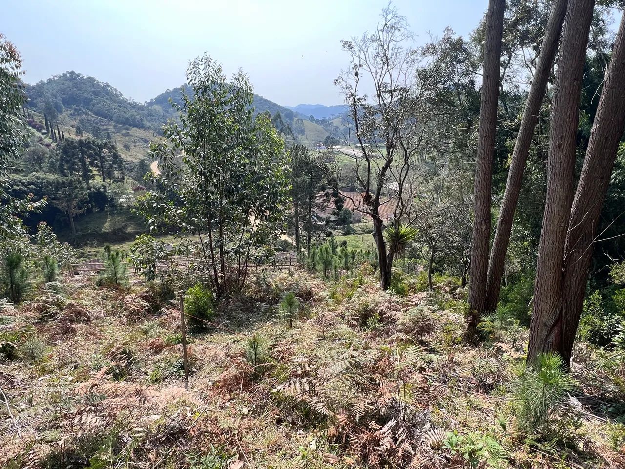 Vendo 150,000 terreno Rancho Queimado  - Foto 4