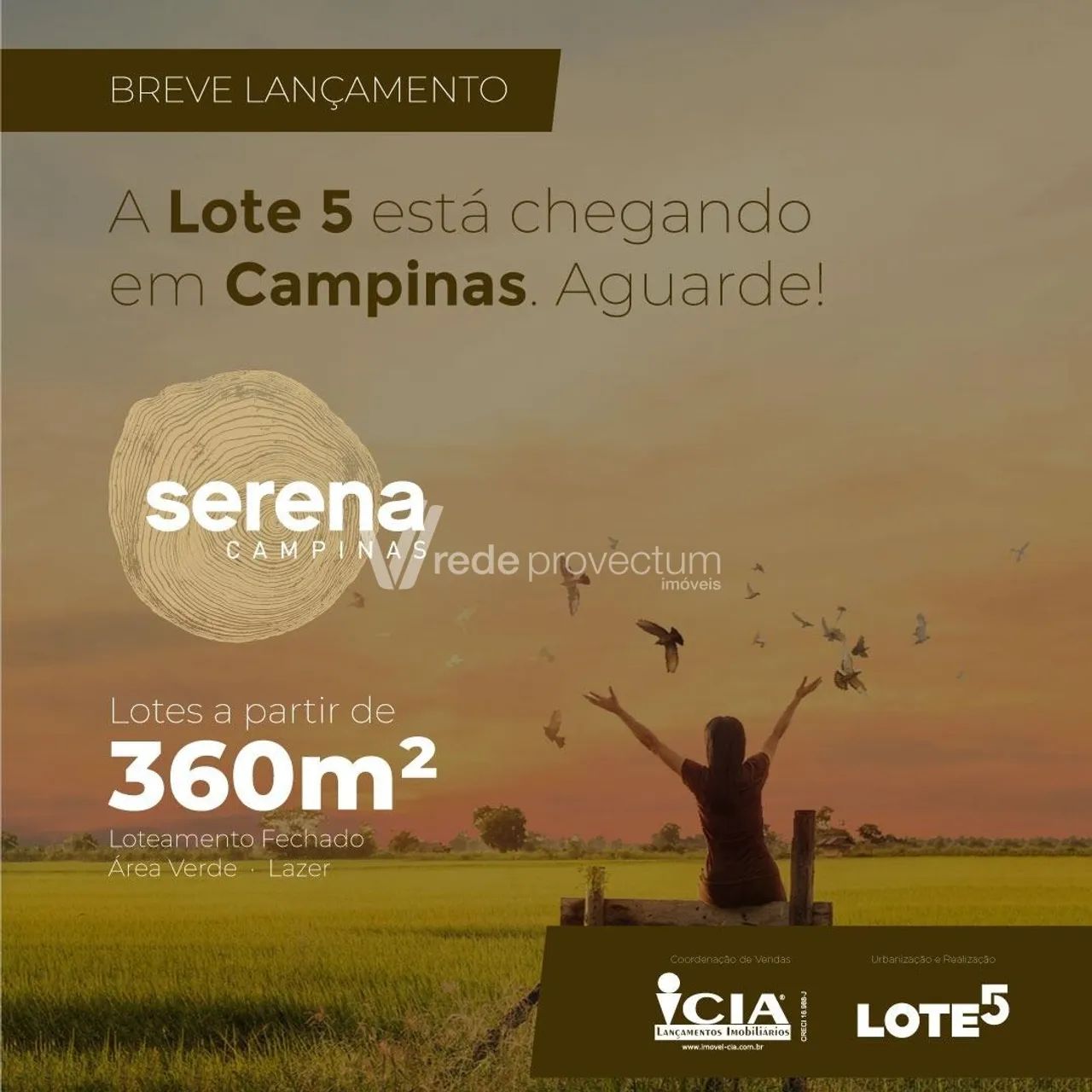 terreno - Loteamento Alphaville Campinas - Campinas - Foto 4