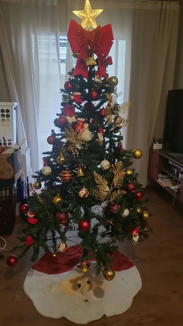 Árvore de natal 