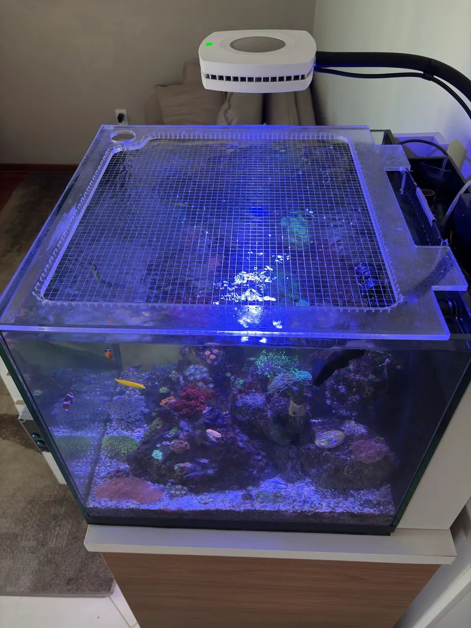 Skimmer para Reef -  Hobby Reef - Foto 6