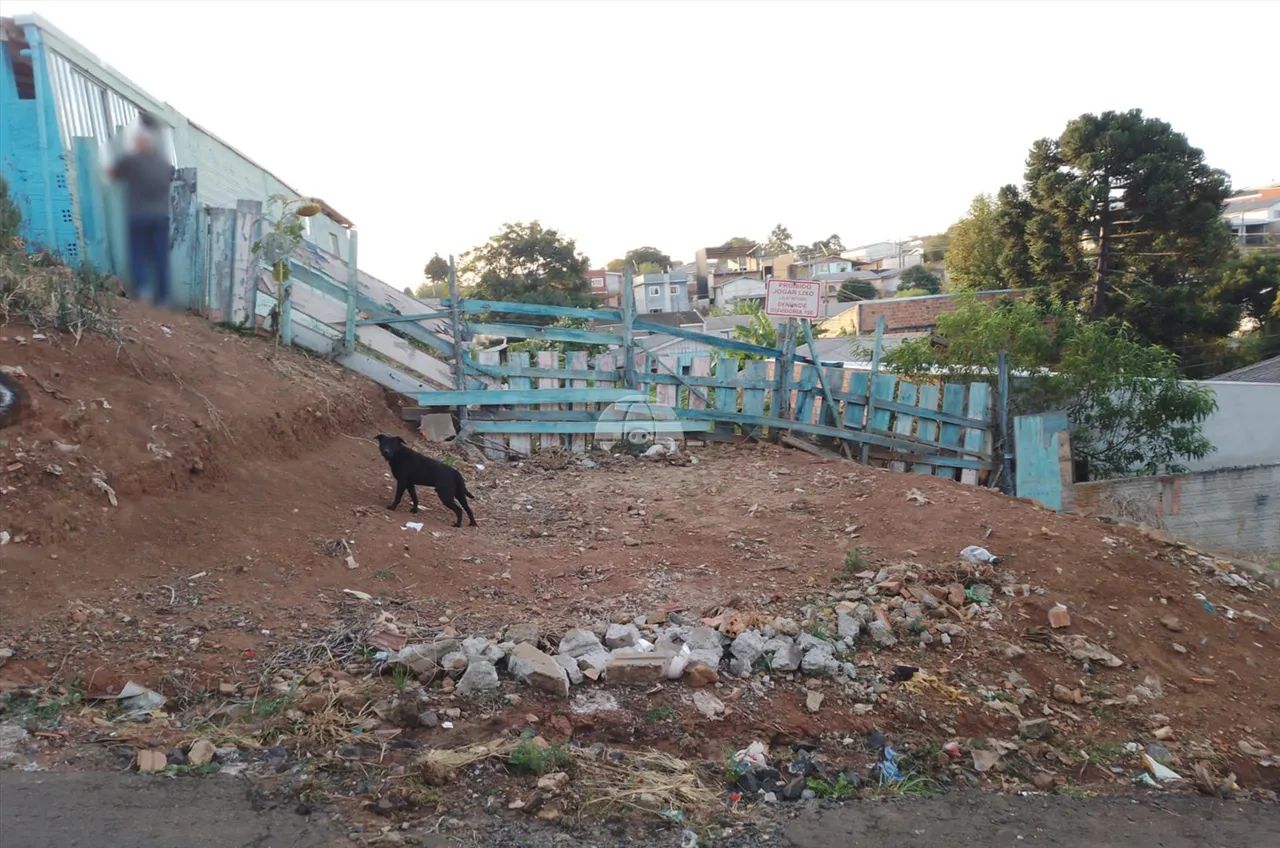 Vendas Terreno Guarapuava PR - Foto 5