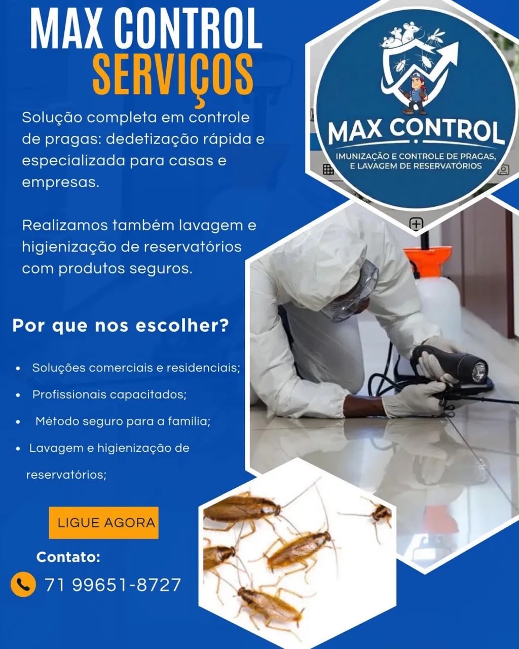 DEDETIZAÇÃO 