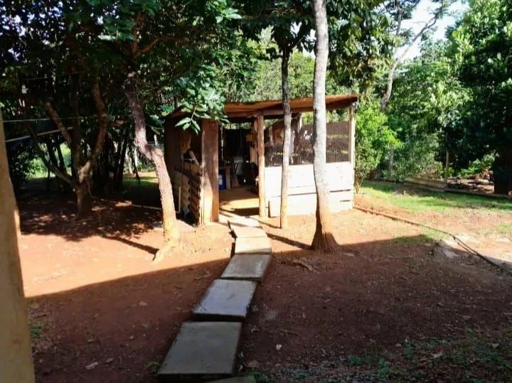 Chácara à Venda  2.000m² de Tranquilidade e Conforto - Foto 3