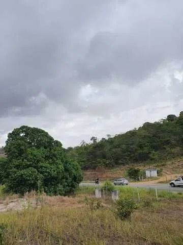 Área 24 hectares PE 50 Vitória PE - Foto 4