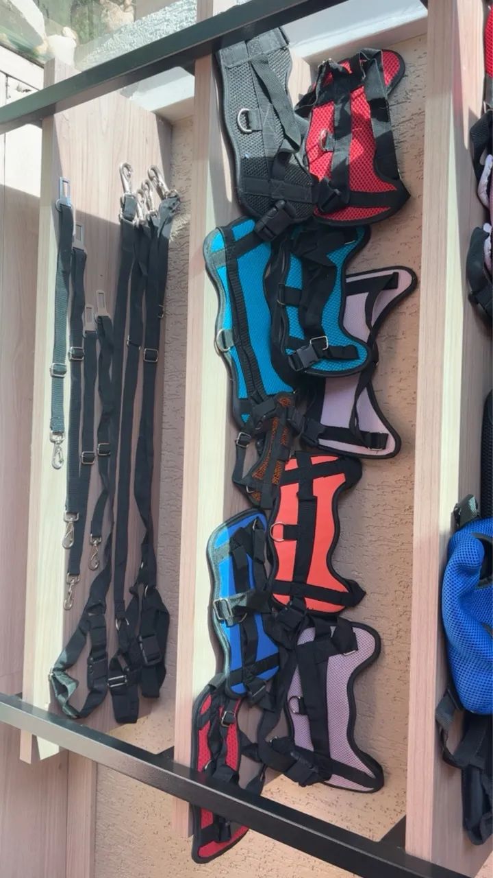 Itens de Pet Shop - Foto 3