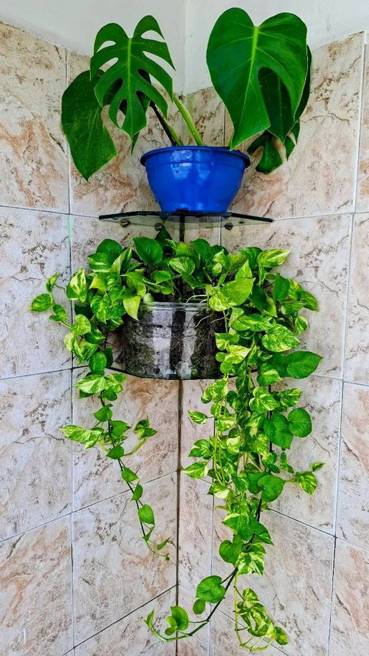 Vendo - Foto 4