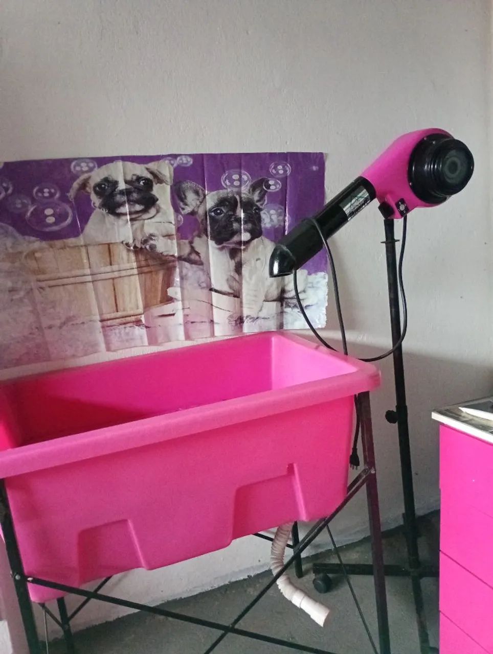 Pet shop - Foto 4