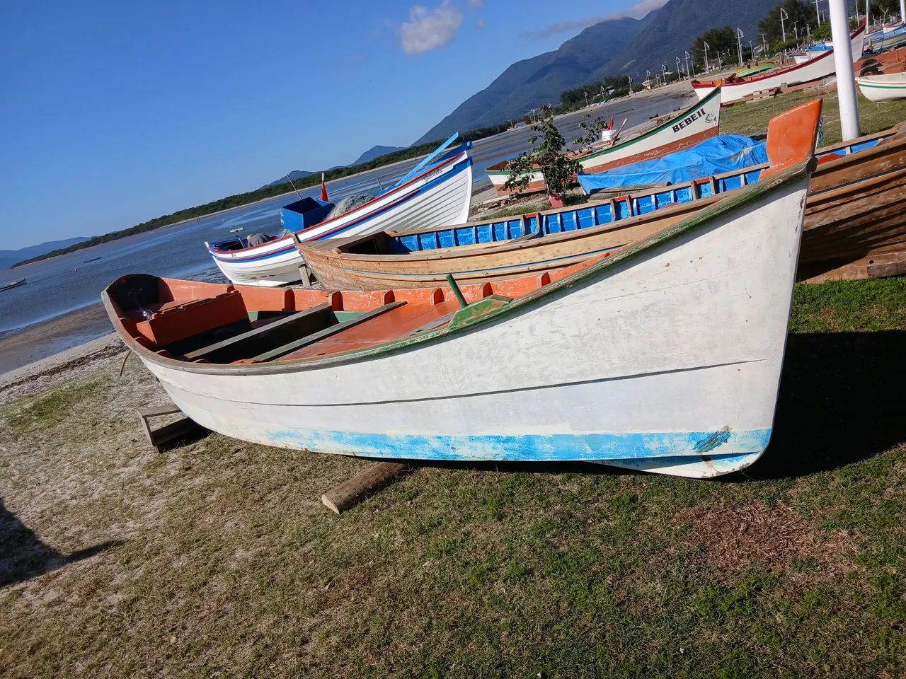 Bote 