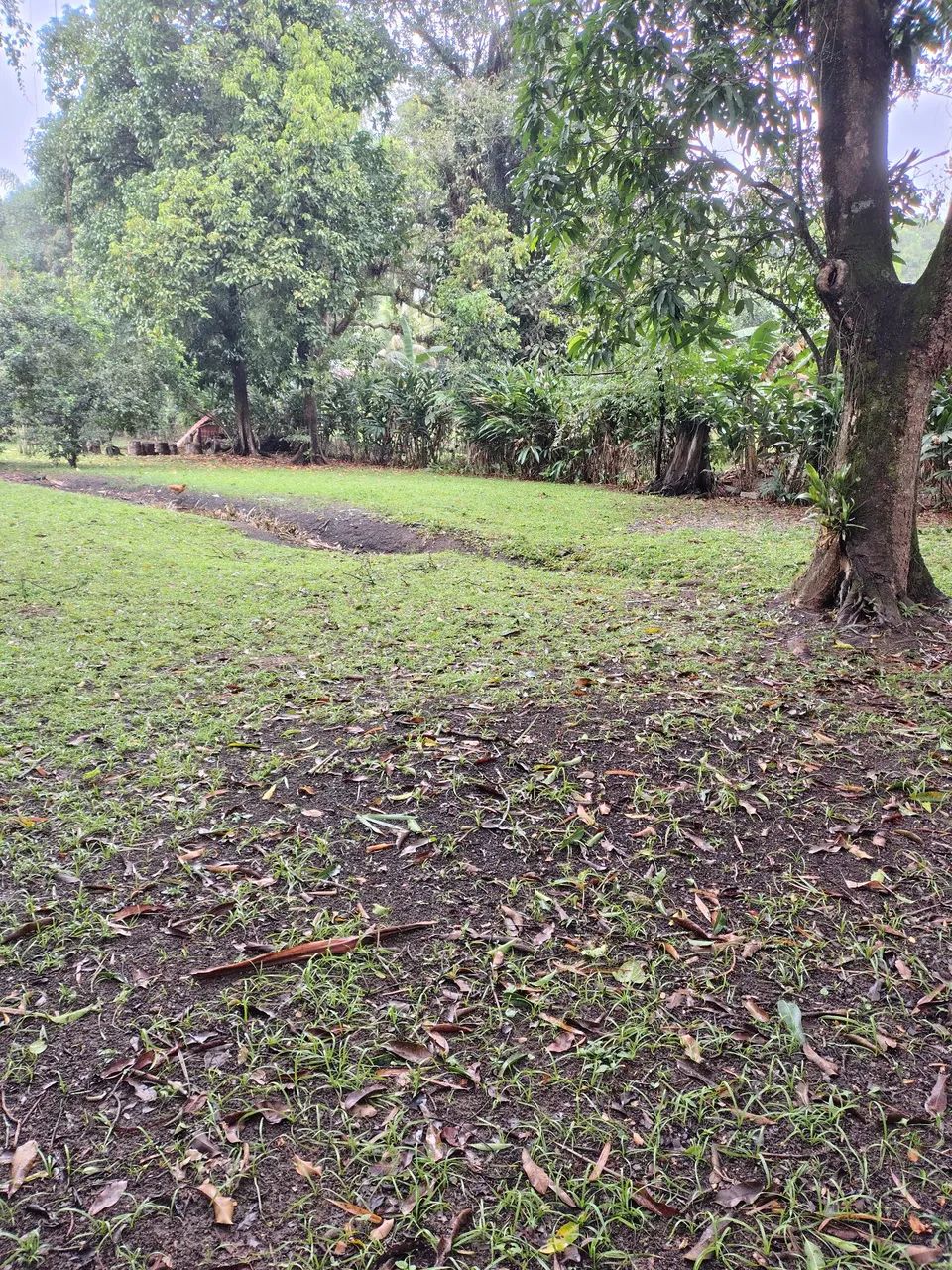 Terreno Plano  - Foto 6