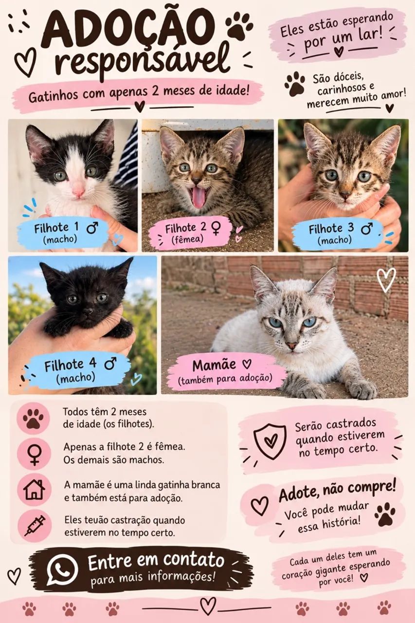 Doação de gatos