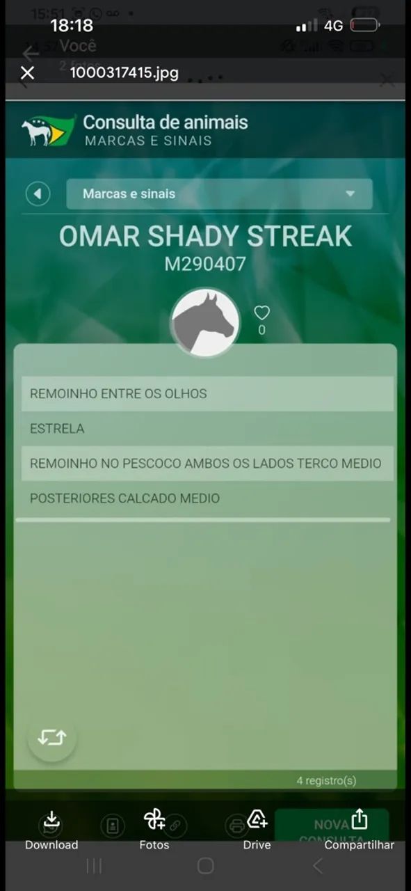 Cavalo de Prado treinando pra derrubar boi com documento  - Foto 5