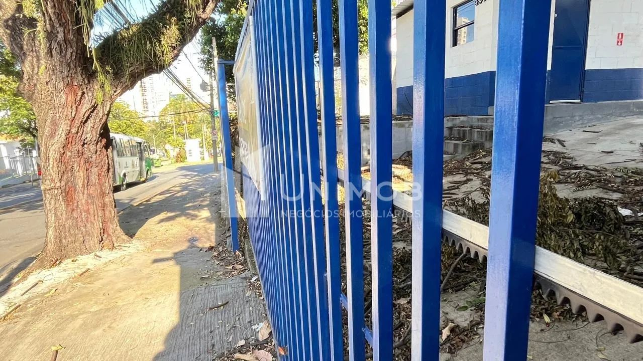 terreno - Nova Campinas - Campinas - Foto 3