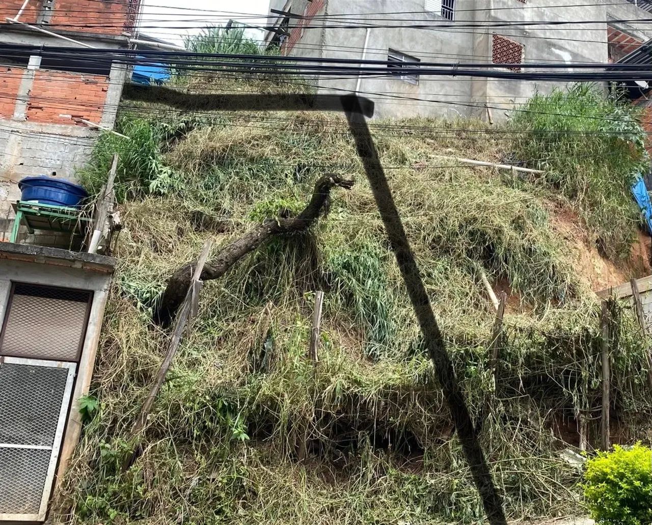 Foto - São Paulo - Jardim Paineiras
