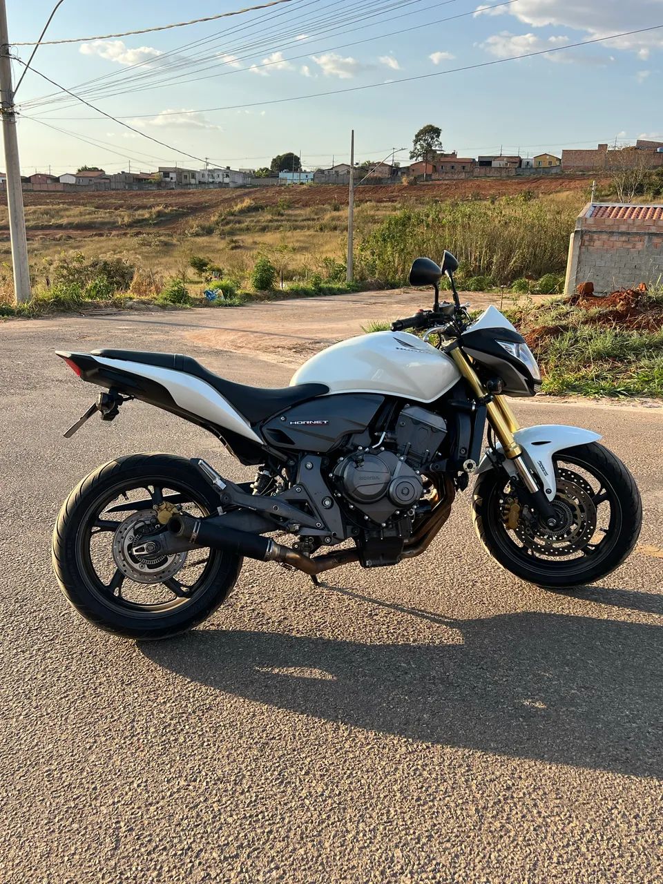 Hornet 2013 abs 