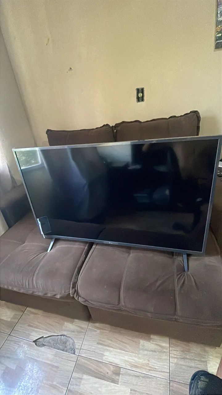Televisão 
