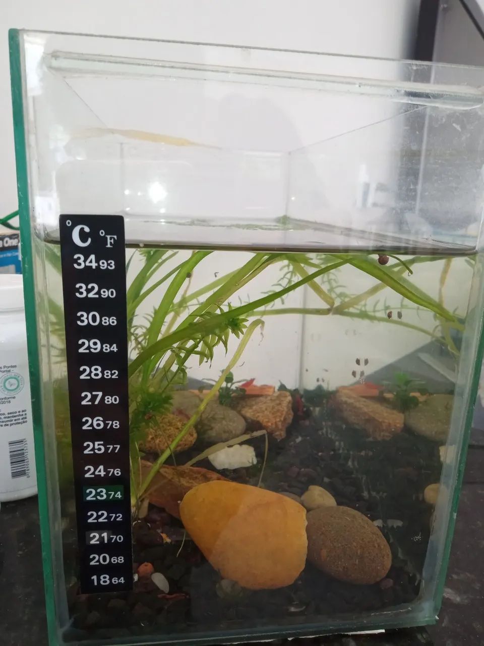 Aquario