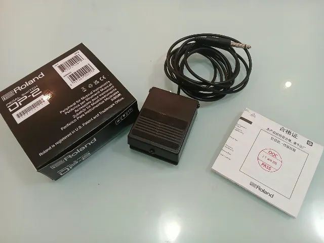 Pedal Switch DP-2 Roland