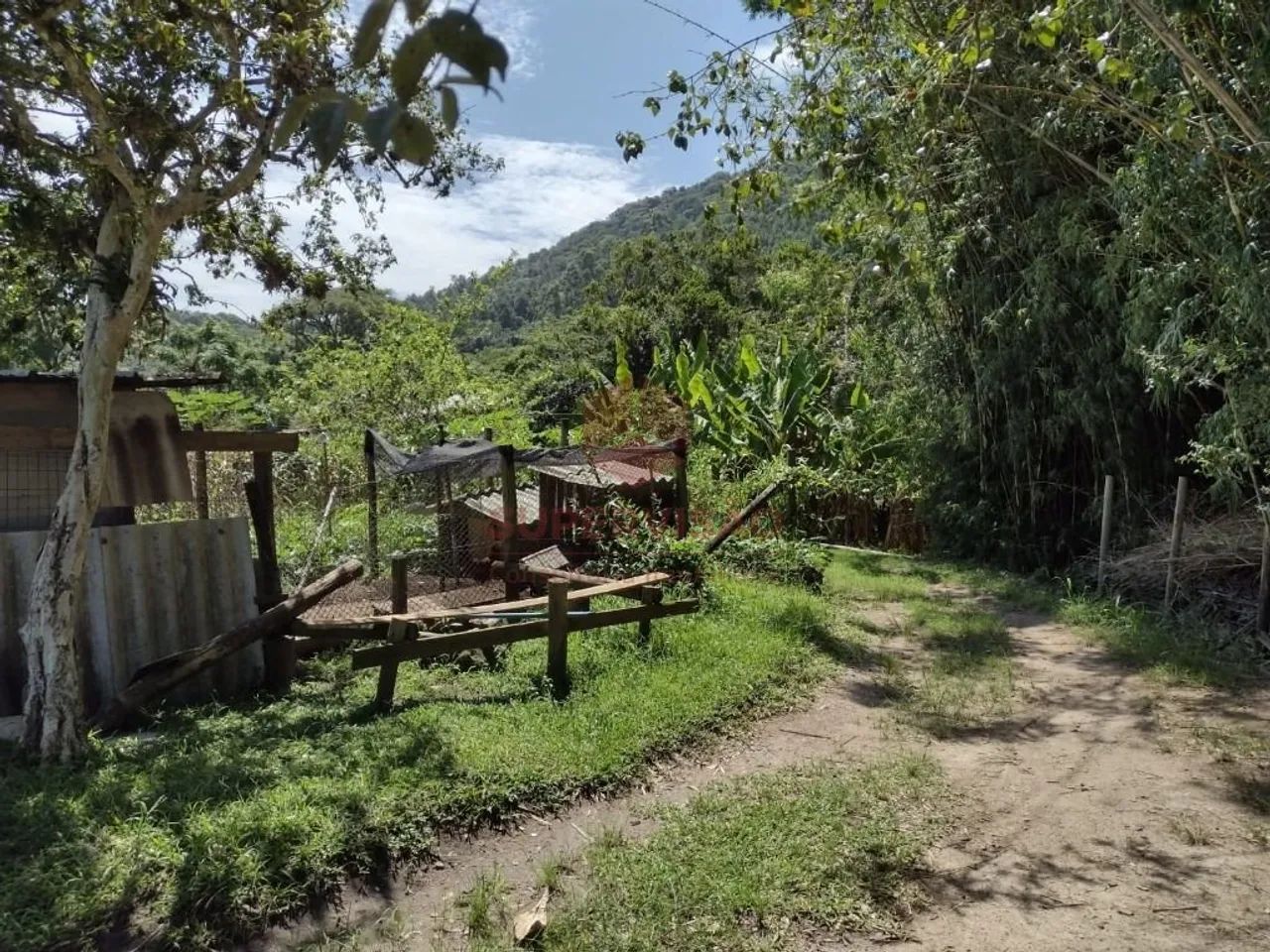 Terreno à venda, 49.872 m² - Jurerê - Florianópolis/SC - Foto 3