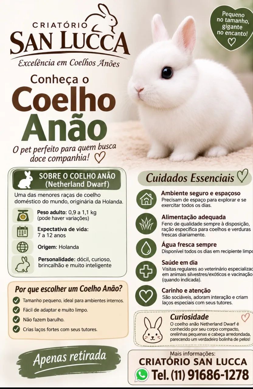 Min Coelho 