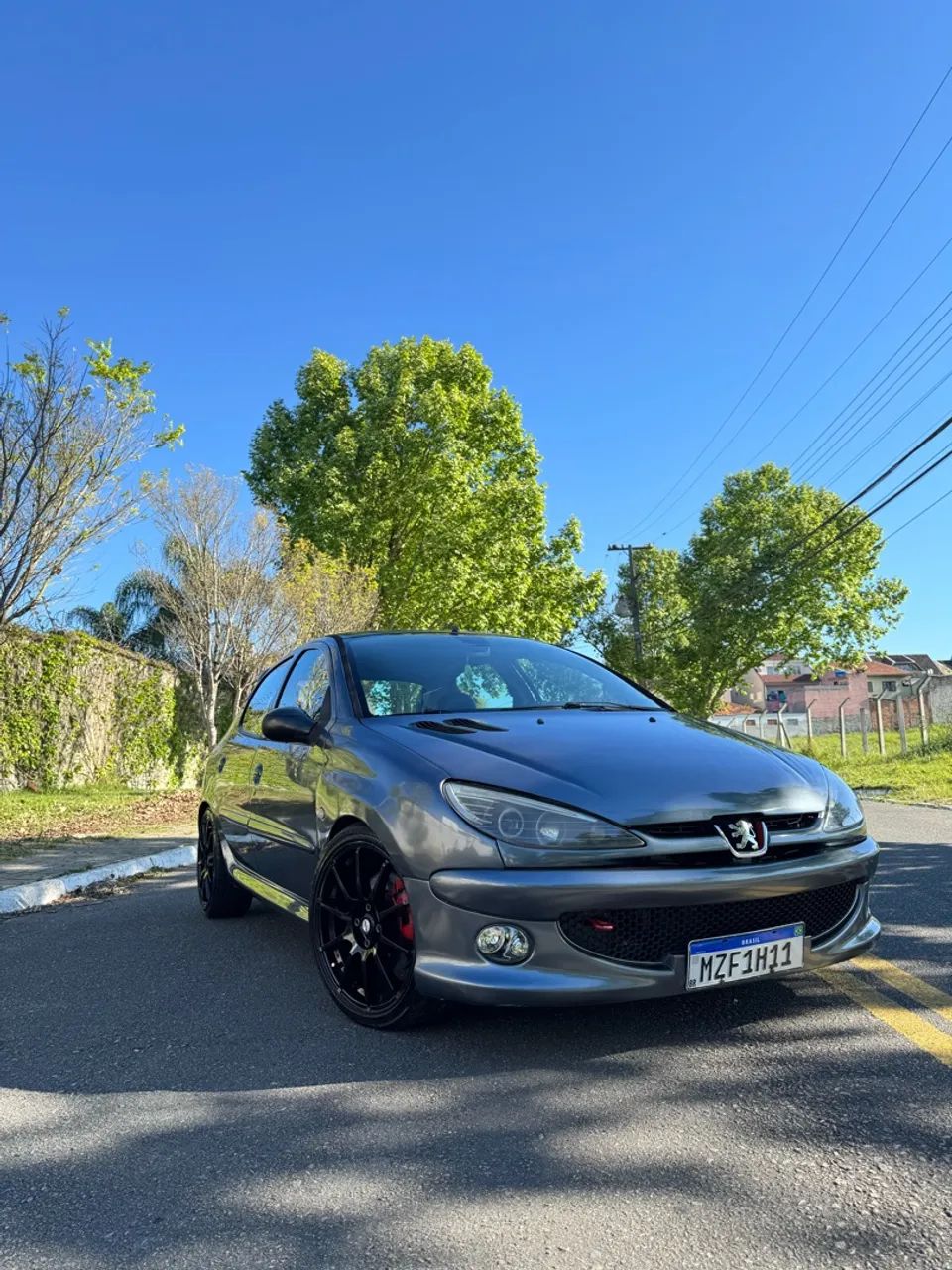 Peugeot 206 Feline 1.4/ 1.4 Flex 8V 5P 2005