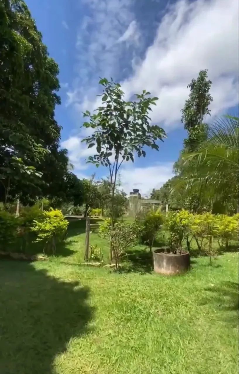 LV Vendo essa chácara em Viana  - Foto 2