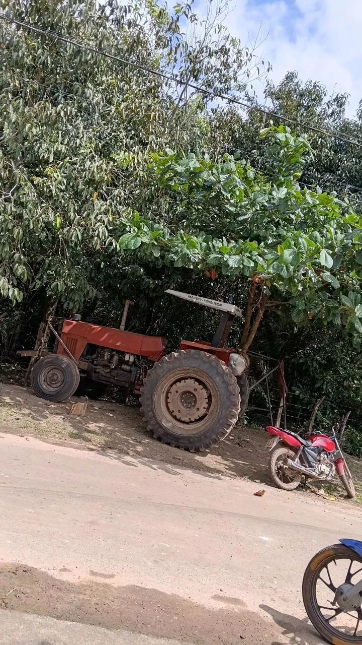 Massey 296 4x2  - Foto 3