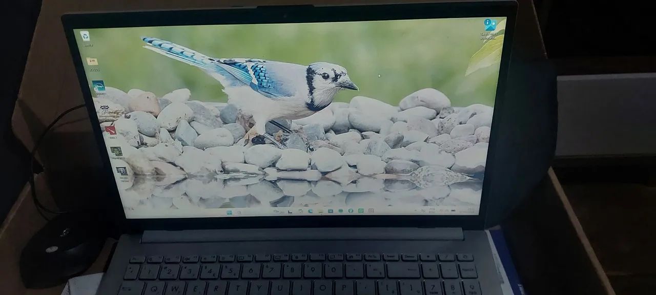 Notebook 
