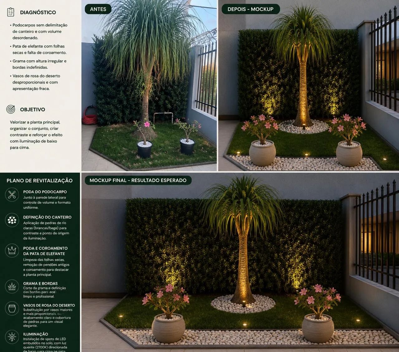 Jardinagem e Paisagismo  - Foto 2