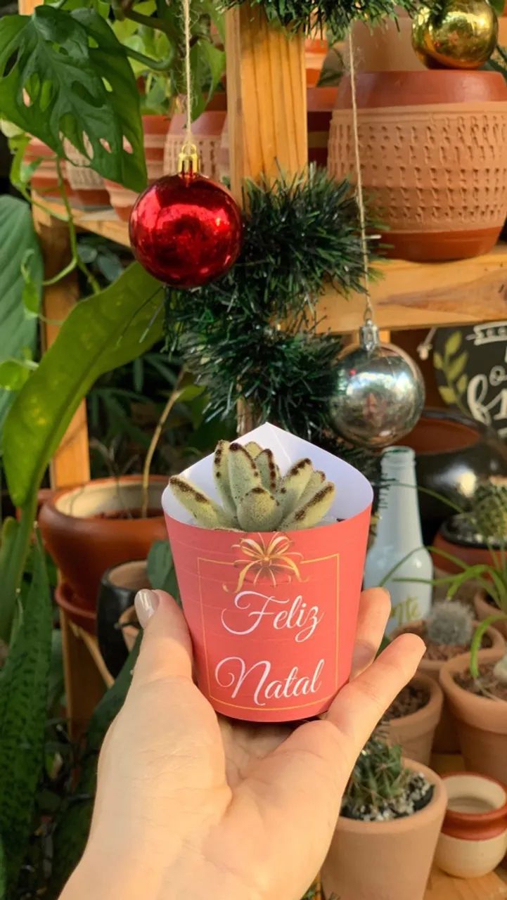 Lembrancinhas para Natal  - Foto 5
