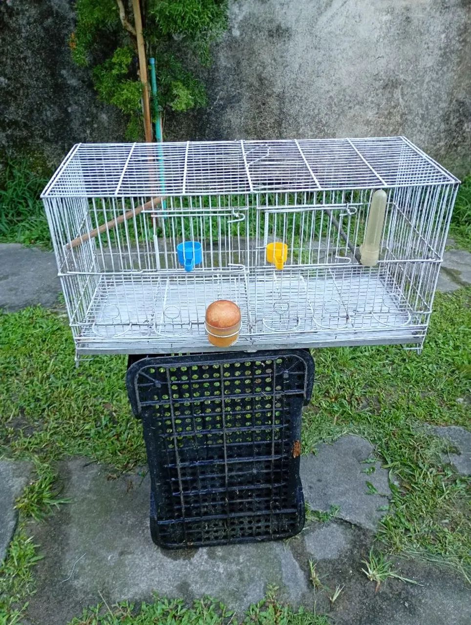 Gaiola